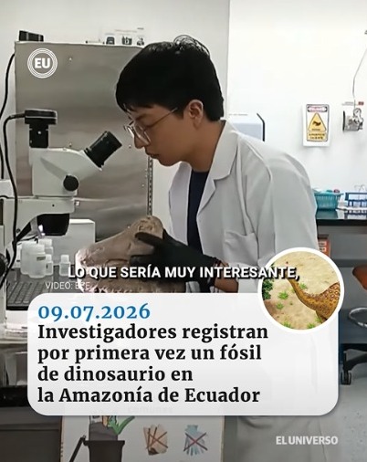 u_ikiam's tweet photo. #IkiamEnMedios 🦕📰

¿Cómo se identificó el primer dinosaurio registrado en la Amazonía ecuatoriana? En una entrevista para El Universo, nuestro docente de Geociencias, Santiago Balcázar, explica cómo los fósiles encontrados en 2018 por habitantes de la comunidad de Venecia Izquierda (Napo) permitieron identificar a un saurópodo titanosaurio, un gigante que pudo medir entre 6 y 30 metros de longitud.

🎥 Conoce más sobre este importante descubrimiento científico en la entrevista:
https://t.co/7NOHVxKVLv
