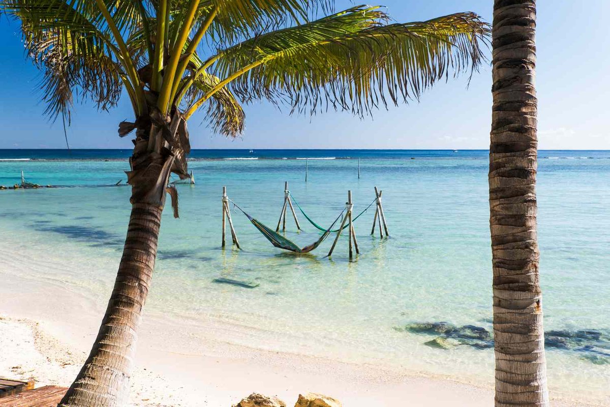 MrWuggums's tweet photo. @HMarxandk @KingFar19701120 There's a great spot on Bumble beach near the hammocks.... 🏝️
#ChillTent #Purrtuga https://t.co/CcNDnkdRsb
