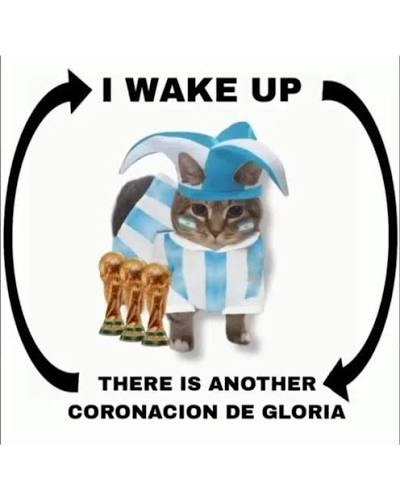 alnne93's tweet photo. @LegendaryNewz 🇦🇷🇦🇷🇦🇷🇦🇷🇦🇷🇦🇷🇦🇷 https://t.co/6tVrJ8EoRk