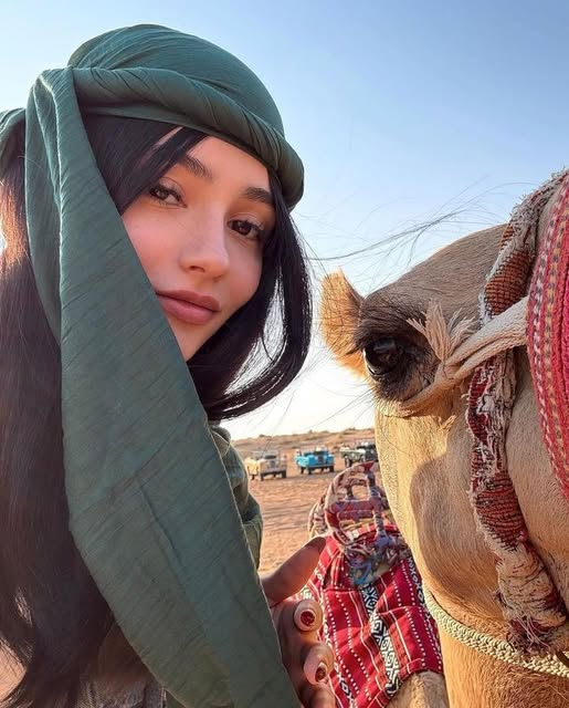 فضيلة منت الشيخ tweet media