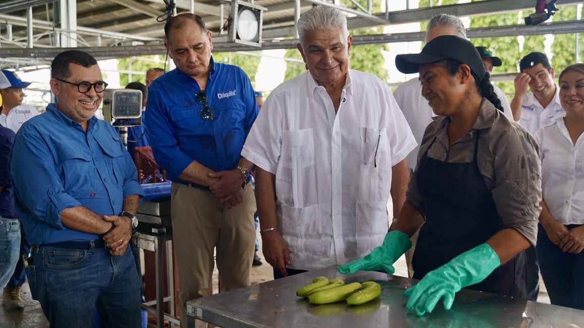 JoseRaulMulino's tweet photo. Recorrí las operaciones de Chiquita en Bocas del Toro. 6,000 empleos directos de bocatoreños, 11 millones de cajas de banano para exportar este año y meta de 15 millones en 2027. Eso es lo que se logra cuando se trabaja con decisión para salvar una industria! Bocas del Toro tiene mucho por delante. Y vamos a seguir trabajando para que así sea. 💪