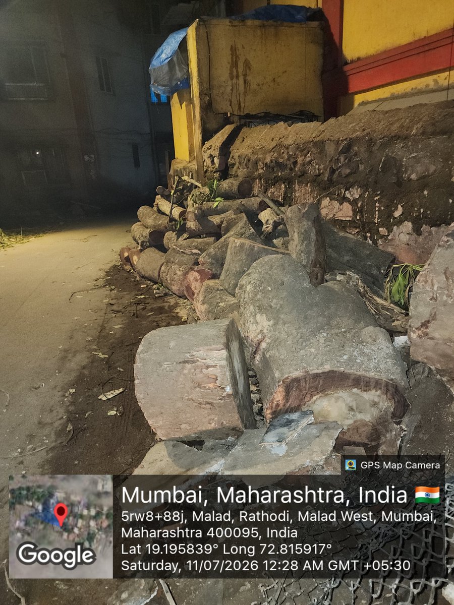 Aijaz1973's tweet photo. @mybmc @mybmcWardPN @MTPHereToHelp Tree fallen 48 hrs ago cut and kept there by Bmc . Its 2 days they haven't cleared it and it has narrowed the road on both sides and this is the only road for vehicles to commute in and out of Rathodi Village. https://t.co/YozCn6H0Zy