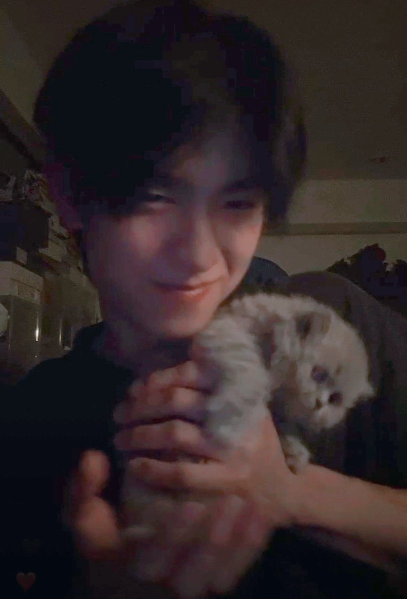 dottedxhearts's tweet photo. Missing this little grey blob 🫳🏻🐈‍⬛

#tthomastc https://t.co/609Fp8GBnb