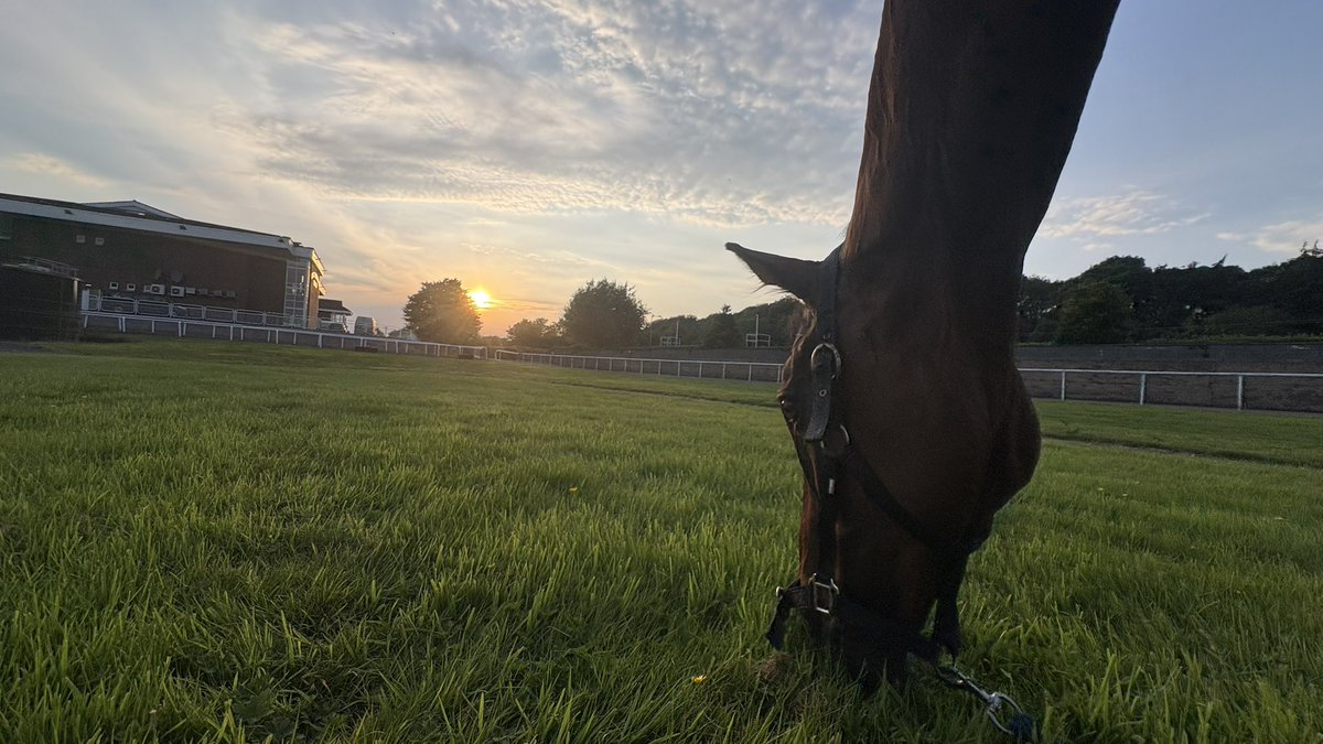 jhanlonracing's tweet photo. 💚🖤 https://t.co/8LkxZd3C6v