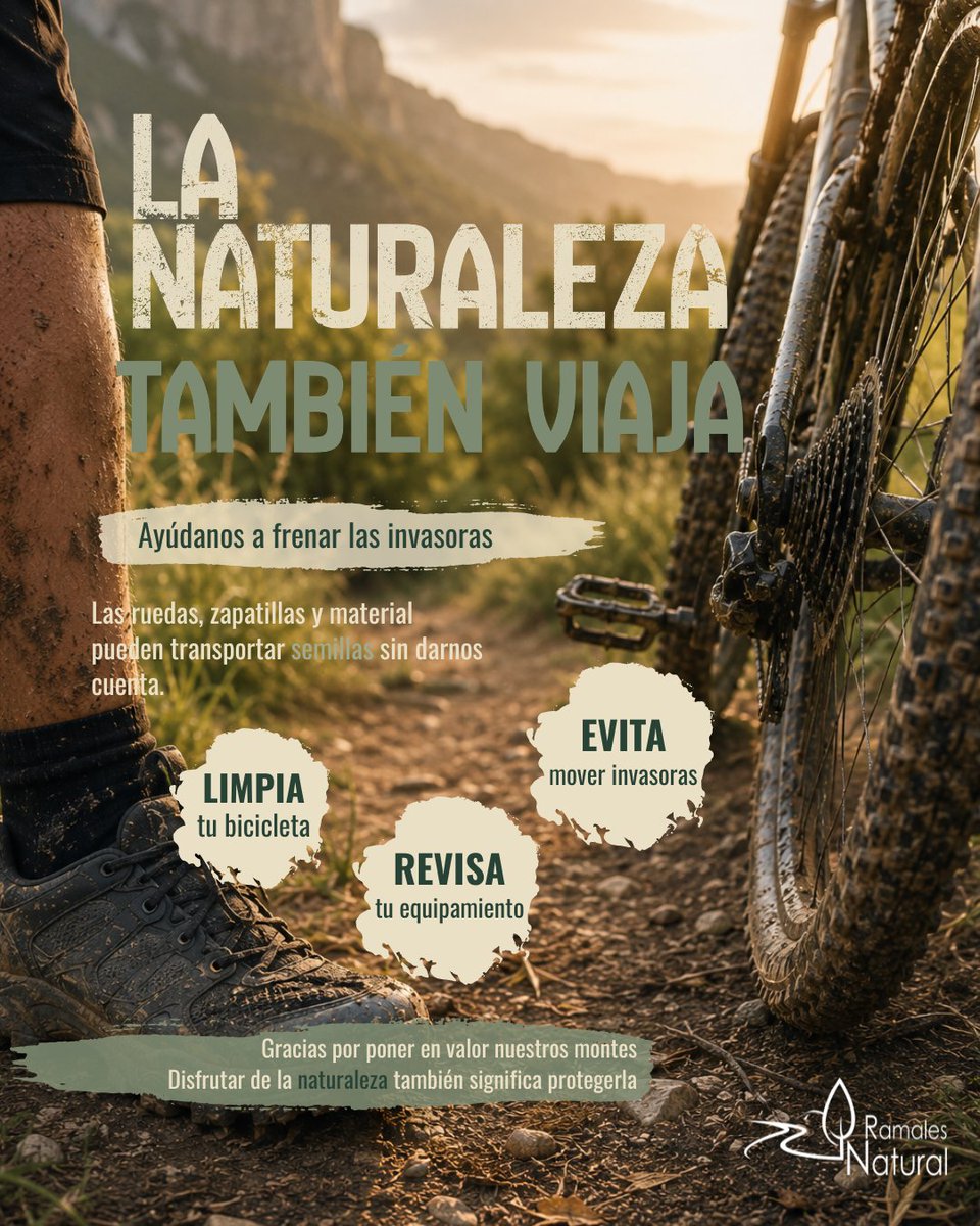 RamalesNatural's tweet photo. Este fin de semana, Ramales de la Victoria acoge una nueva edición del Desafío Dama Roja, un encuentro que también pone en valor algo que nos hace únicos: nuestro entorno natural.

 Disfruta. Respeta. Conserva.
#RamalesNatural #DesafíoDamaRoja #RamalesDeLaVictoria #BTTNaturaleza https://t.co/w2dMyXa0BJ