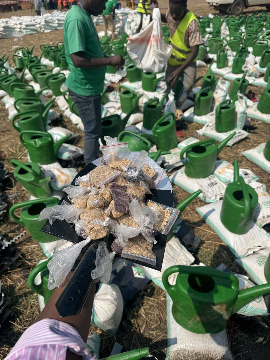 codevah's tweet photo. 📍Fizi | Sud-Kivu

@caredrc et @CODEVAH poursuivent la distribution d’intrants agricoles au profit de 702 ménages vulnérables dans les aires de santé de Kananda et Kichula. Une action qui contribue à renforcer la sécurité alimentaire et la résilience des communautés. https://t.co/pMSa6rUKsO