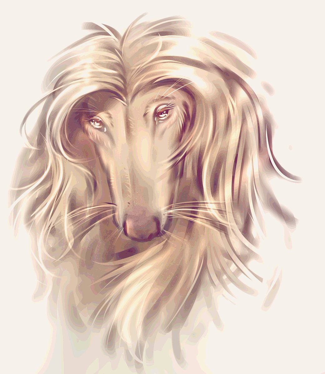 remmiise's tweet photo. My recent obsession has been drawing animal portraits https://t.co/3xZSpQrJcR
