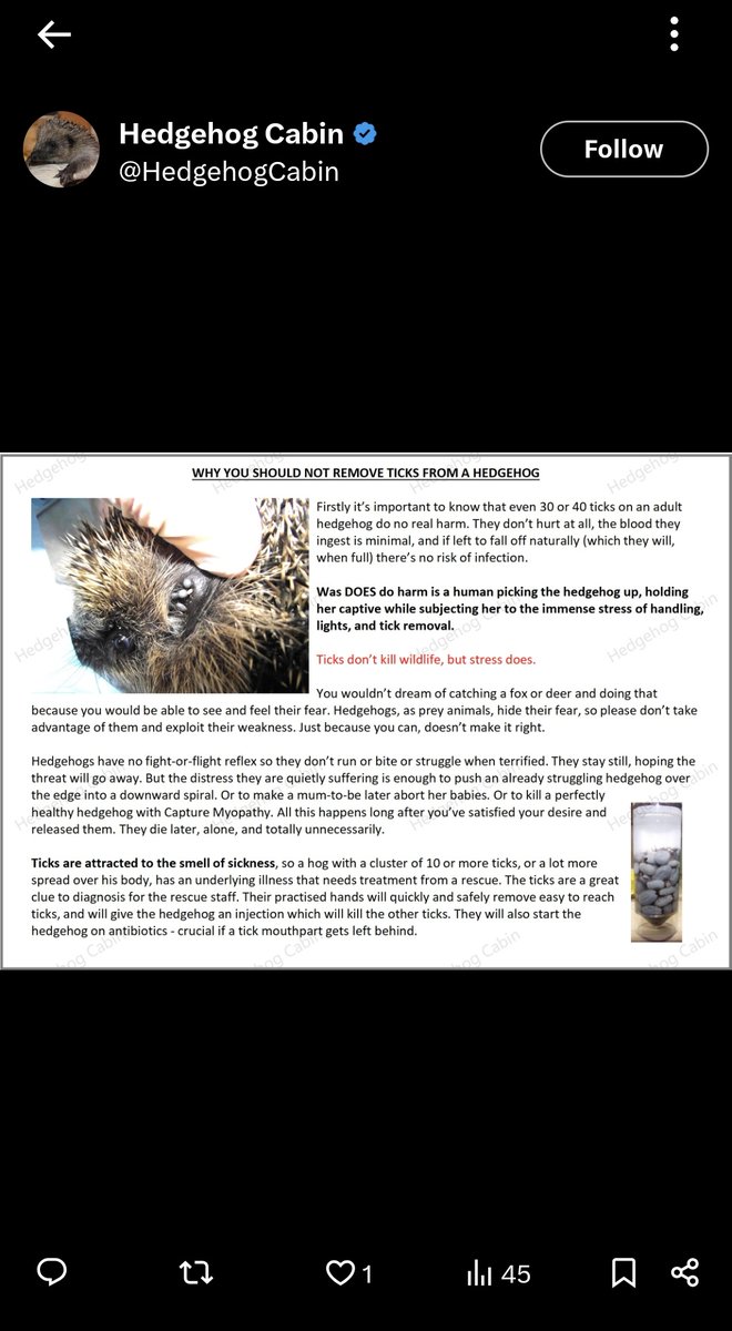 relatableroo's tweet photo. @NdimJesus @scarimor @HedgehogCabin @AdoptionsUk @CarlBovisNature Precisely! This is from HC themselves! They even state that capturing the hedgehog would be harmful. 

Regarding the skinny hedgehog, Carl has stated that he has spoken to a hedgehog expert who has advised against interving at this stage.

https://t.co/j7Z6GB6s2B https://t.co/K3UdxuBTWe