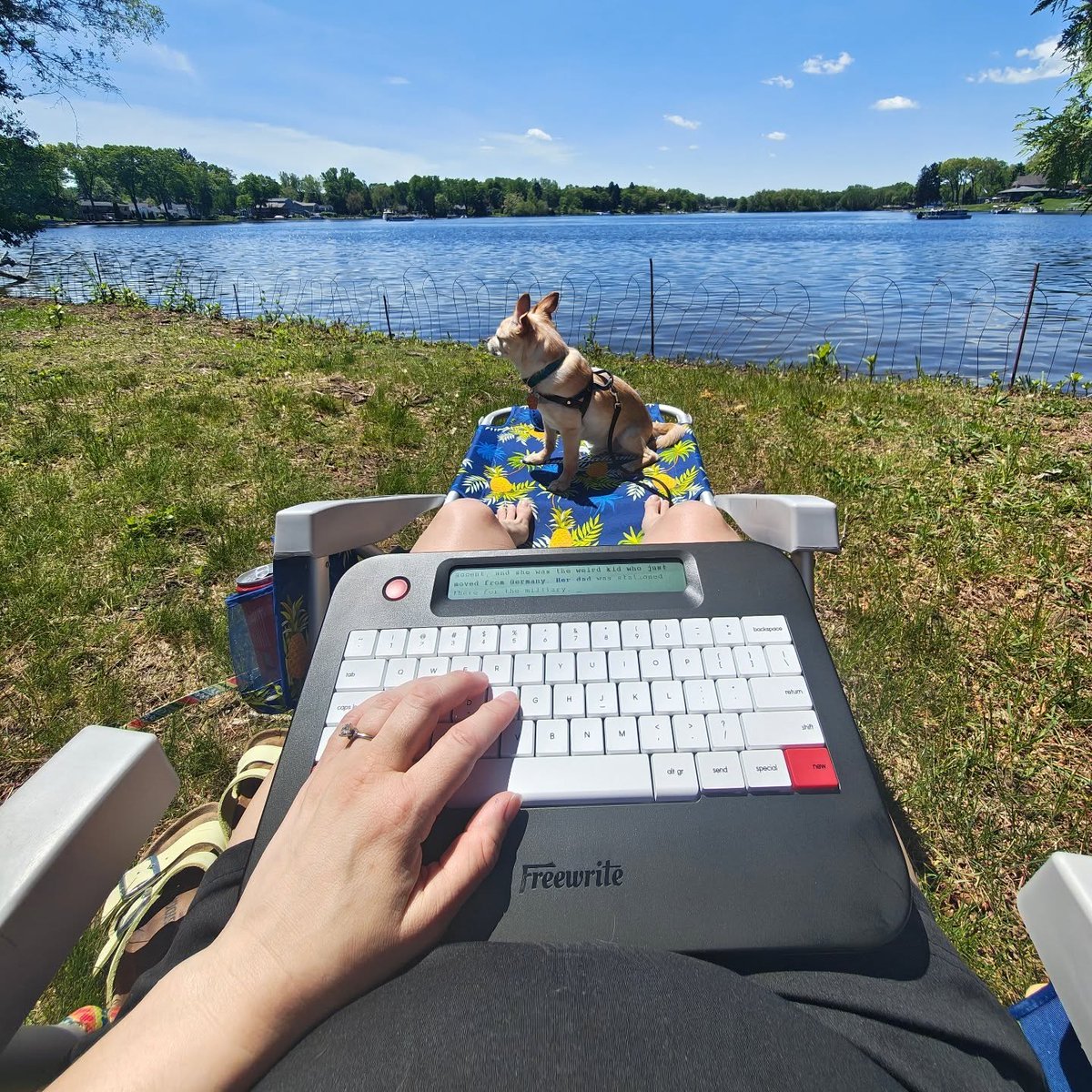 getfreewrite's tweet photo. Proof that writing outside hits different, especially with a cute companion πΆ #freewritefam #freewritealpha #freewritepets πΈ: piggiepi (on Instagram) https://t.co/EU2rQ15DmC
