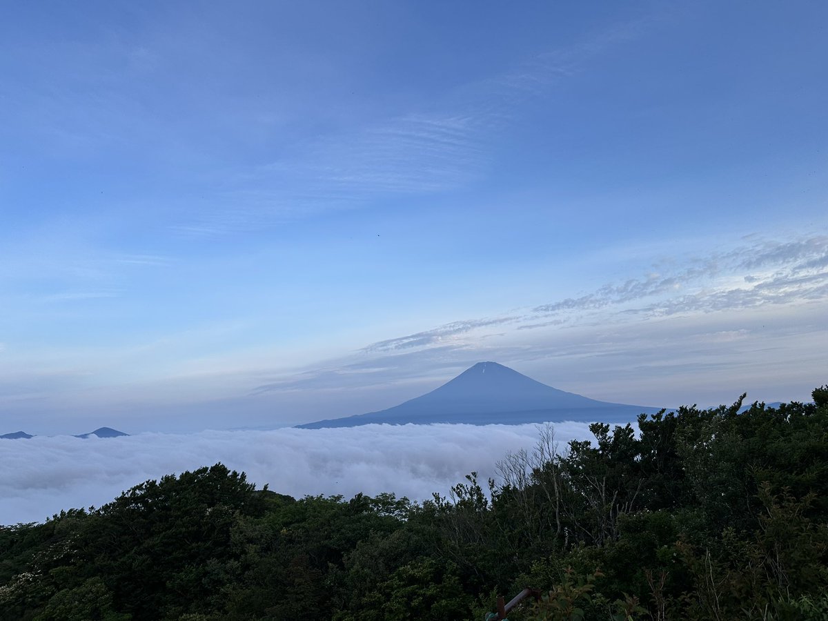 ginocchi_fiber's tweet photo. 朝活 https://t.co/xVdOU3sBXX