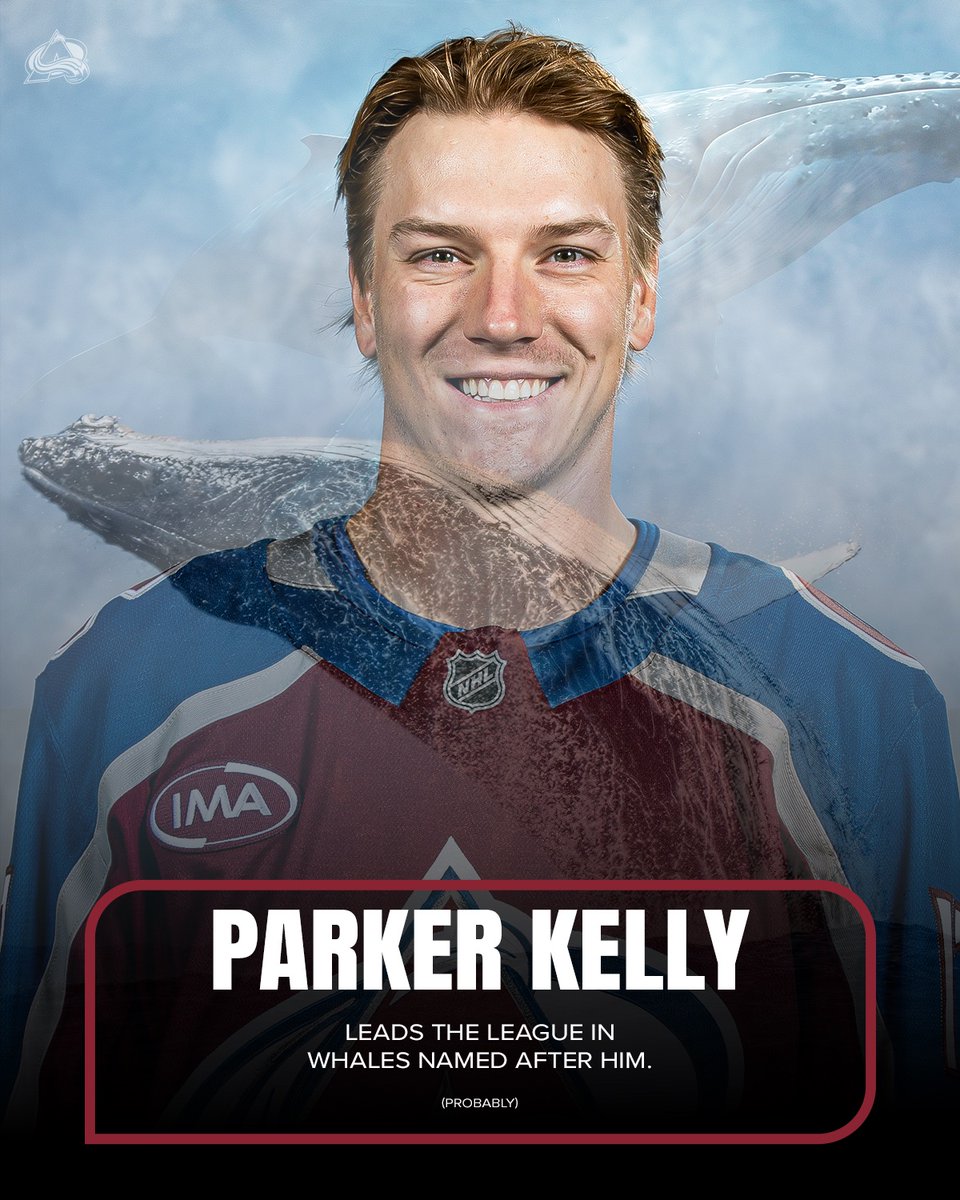 Colorado Avalanche tweet media