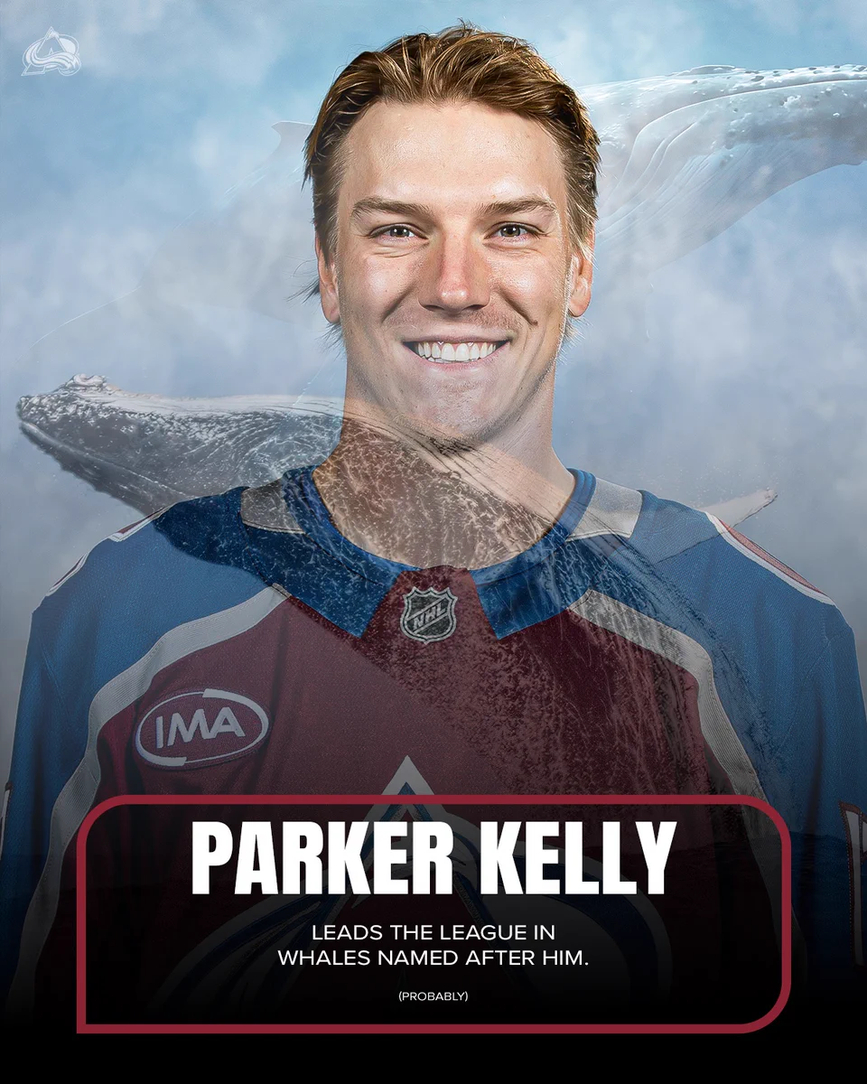 Parker Kelly leads the league in whales named after him (probably)