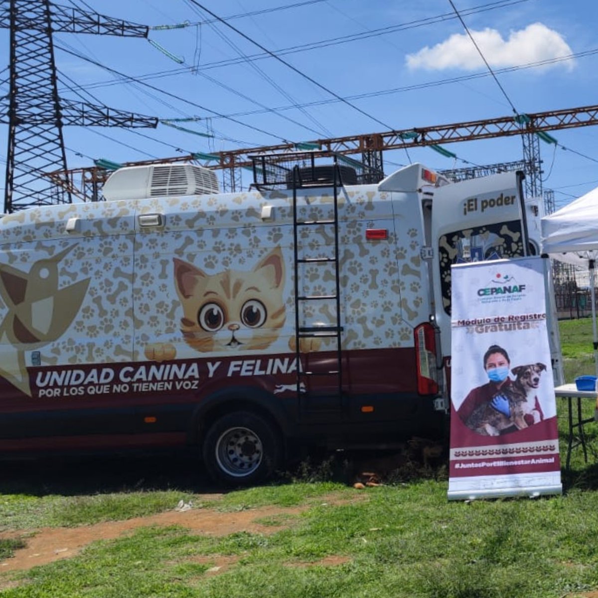BienAnimalEdMex's tweet photo. Como parte de la Estrategia CERA, realizamos un nuevo operativo de captura en Los Reyes, La Paz, para brindar atención segura a seres sintientes en situación de calle e integrarlos a un proceso de valoración médica, protección y bienestar. https://t.co/XcDG0Eb2rn