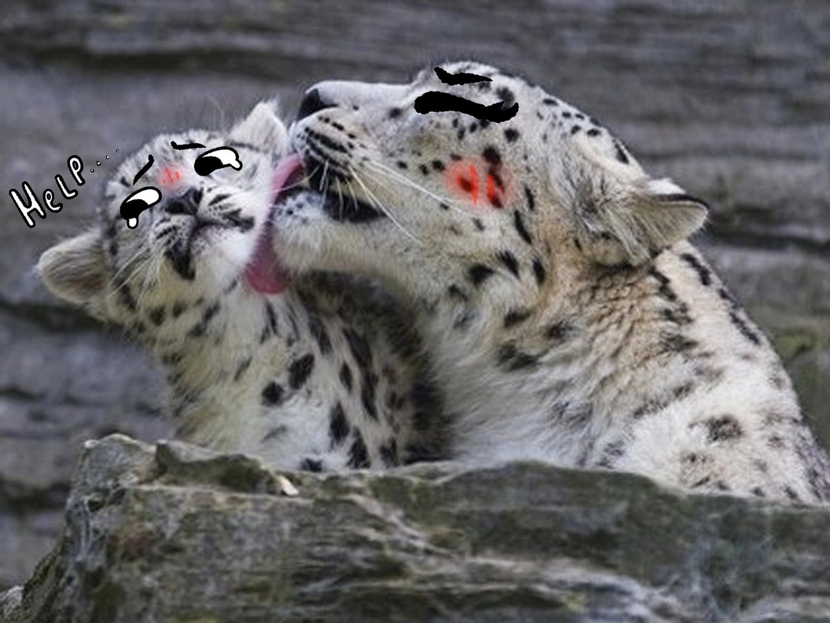 ClOwOnDOG's tweet photo. Doing tis to my twink bf (he can't do anything bout it)
Lick 
Lick 
Lick
Lick
Lick
Lick 
Lick https://t.co/CAe7hMD5Va
