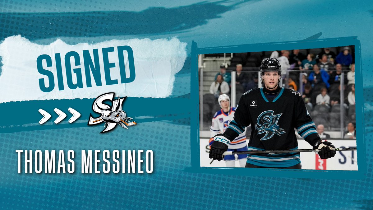 sjbarracuda's tweet photo. We're ending your week with more good news 📝 we have signed defenseman Thomas Messineo to an AHL contract for the 2026-27 season!

MORE: https://t.co/HmoPqJJJSk https://t.co/c4nsHC1VIj