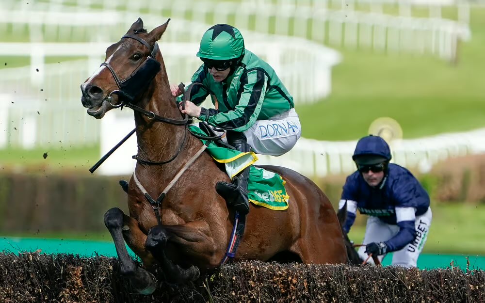 JPunts97's tweet photo. Hewick my boy. 

What can I even say

800 quid cost 

792,862 in prize money 

You don’t get many stories like this in racing. 

Credit to all connections 

@seanhanlon77 credit to you and dad and all the staff! You had some spin. Absolutely loved him! Wish him the happiest of retirements. 

Absolute stud!!