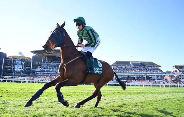 JPunts97's tweet photo. Hewick my boy. 

What can I even say

800 quid cost 

792,862 in prize money 

You don’t get many stories like this in racing. 

Credit to all connections 

@seanhanlon77 credit to you and dad and all the staff! You had some spin. Absolutely loved him! Wish him the happiest of retirements. 

Absolute stud!!