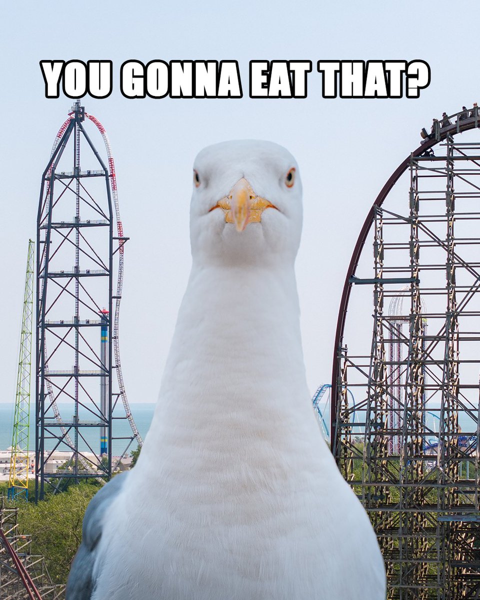 Cedar Point tweet media