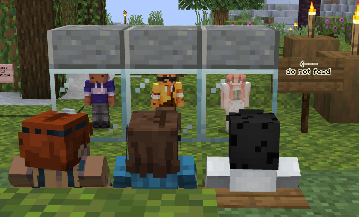 Lowlight SMP tweet media
