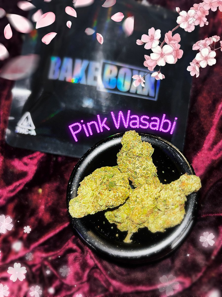vizurantvis's tweet photo. Pink Wasabi~ @Bake_Boxx 🌸🍃✨ https://t.co/HGUwMeRLR5