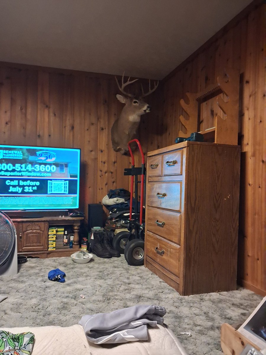 AndrewLaken's tweet photo. 4570govt 32 win special and an odd little .22 wrf pump action! #hunting #outdoorsman #michigan #yooper https://t.co/j0Nb6oVIEU
