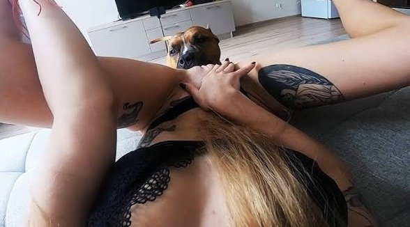 jackB2671's tweet photo. 🐾🐶I don’t think you can get the most dirtiest contents else where🔞come  to me for more💦👇 ↘️Click on my telegram link 🔗 🖇️  https://t.co/yqs2o0RWxK

 #dogsex #zoophiletwt #zoophilia #zoophile #zooprideisvalid #zoophilesarevalid #zoophiletwt #trendingshorts #antipedophilia https://t.co/dtR7wCtpgE