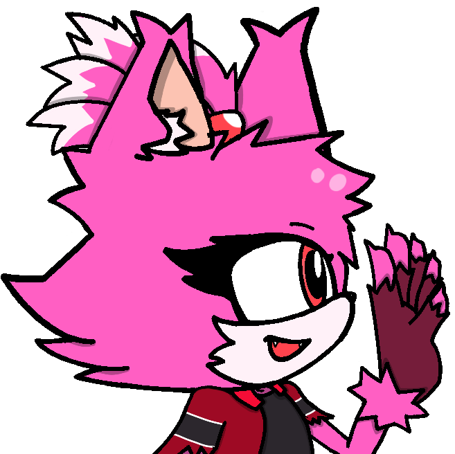 Kirb the Cat tweet media