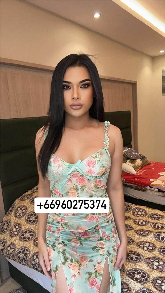 fhootle's tweet photo. #ladyboy_jeddah
#jeddah_ladyboy
#ladyboy_both_in_jeddah
💕💕🥰🥰 https://t.co/GCMitqahvu