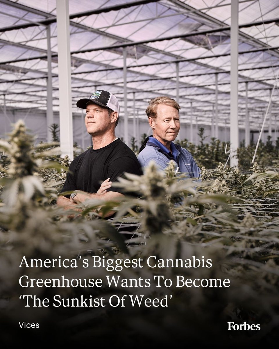 ForbesLife's tweet photo. A year after a deadly ICE raid on Glass House's massive cannabis farms, Glass House is preparing to trade on the New York Stock Exchange, harvest 1 million pounds of weed and export its product all over the world.
Read more: https://t.co/shzJAek7mA https://t.co/7X3q8wnzlK