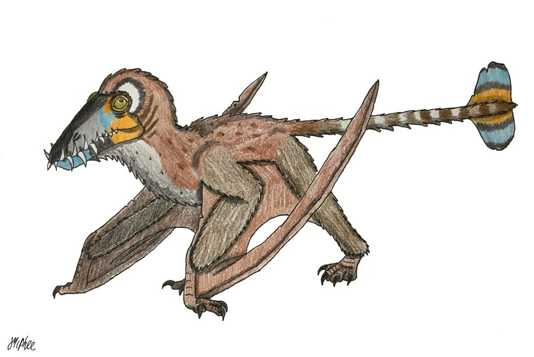 ATiredPterosaur's tweet photo. As someone with 'pterosaur' in their name, I am obligated to oblige. https://t.co/eth3FeCLgD