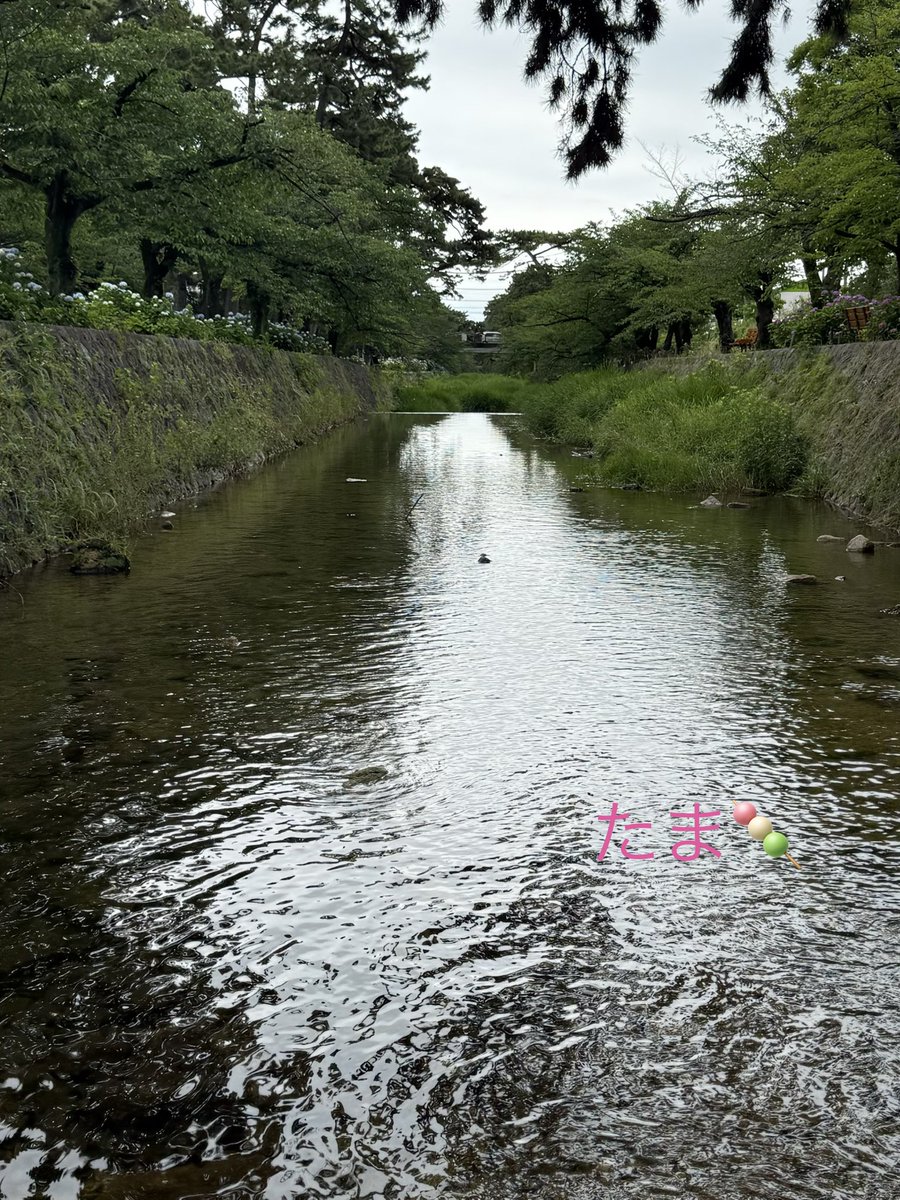 janno_bruke_u8's tweet photo. おはようございます🍡

近々入院&amp;手術予定なので、その支度等で色々とバタバタしてますが、体調を考えてぼちぼちやっていきます🙂

今日も心穏やかな一日を☘ https://t.co/DVSEmqEcVz