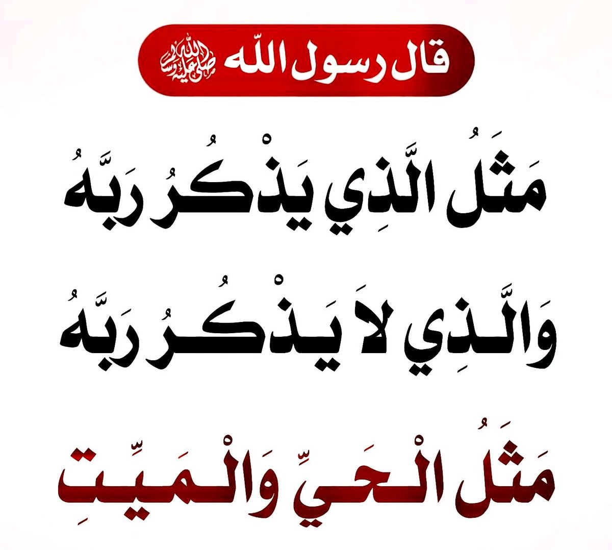 saeed_derman's tweet photo. https://t.co/LN7krVBfmu