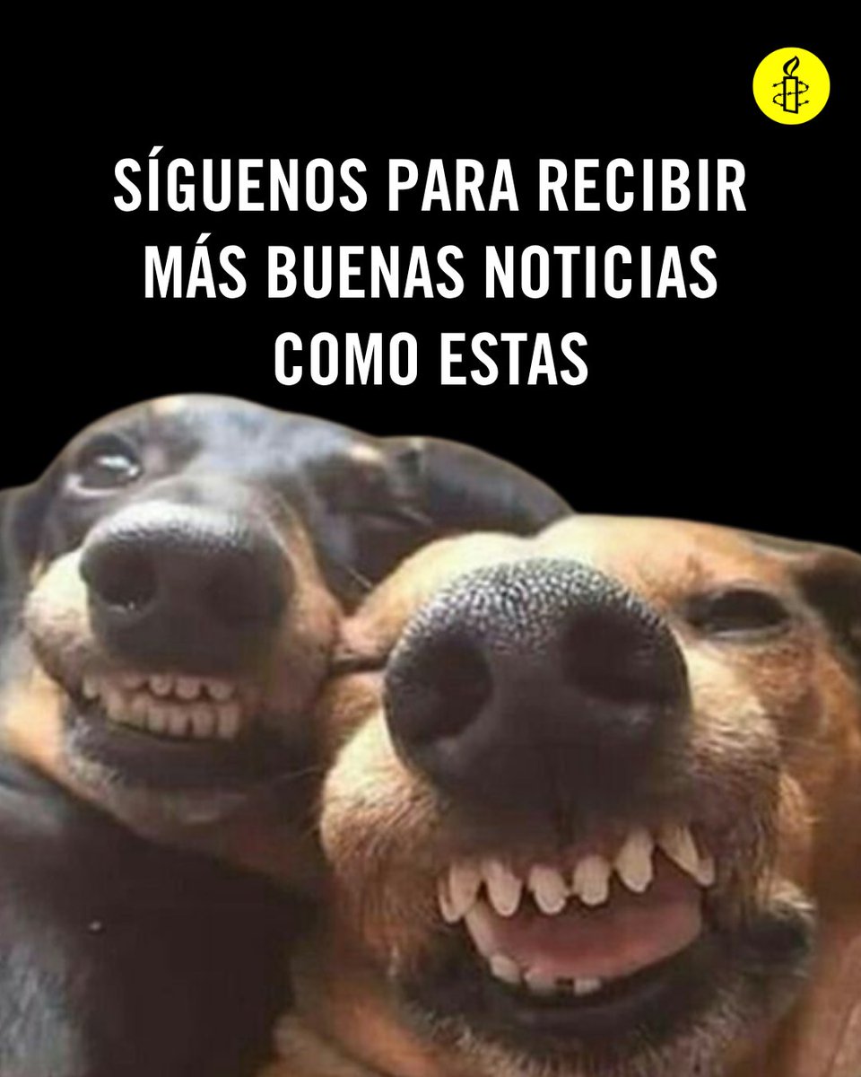 amnistiaespana's tweet photo. ¡Que también damos buenas noticias, oiga!
Aquí van más de 30 https://t.co/ioI46x33oS https://t.co/bFOKeF3W61