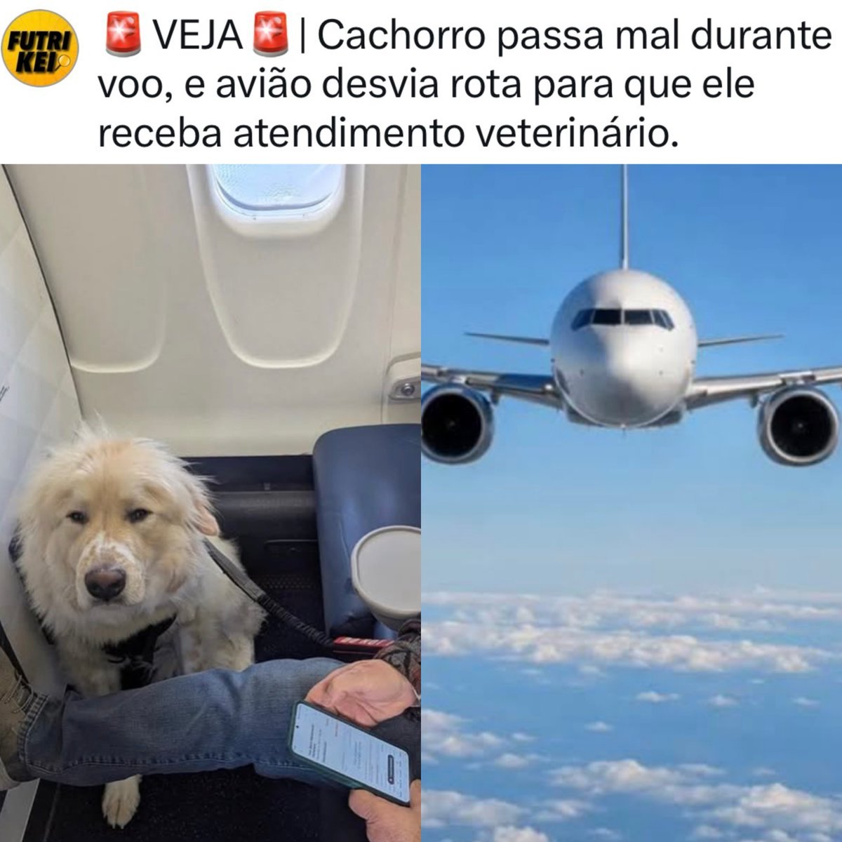 del_brunolima's tweet photo. Toda vida importa! 👏 https://t.co/pz5jdND65D