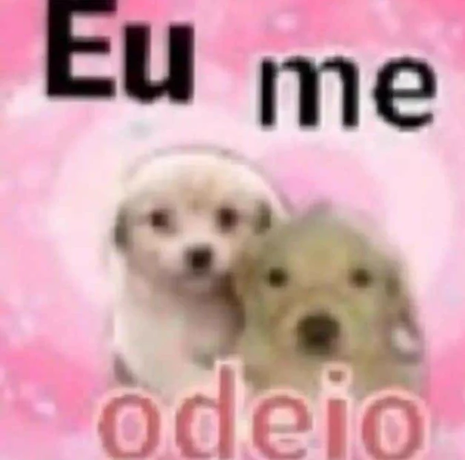 frases duvidosas em baixa qualidade tweet media