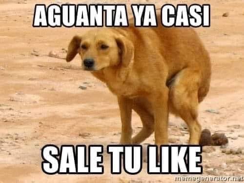 CruzC29888's tweet photo. @Oficial_Vicman https://t.co/zpnhkT489K