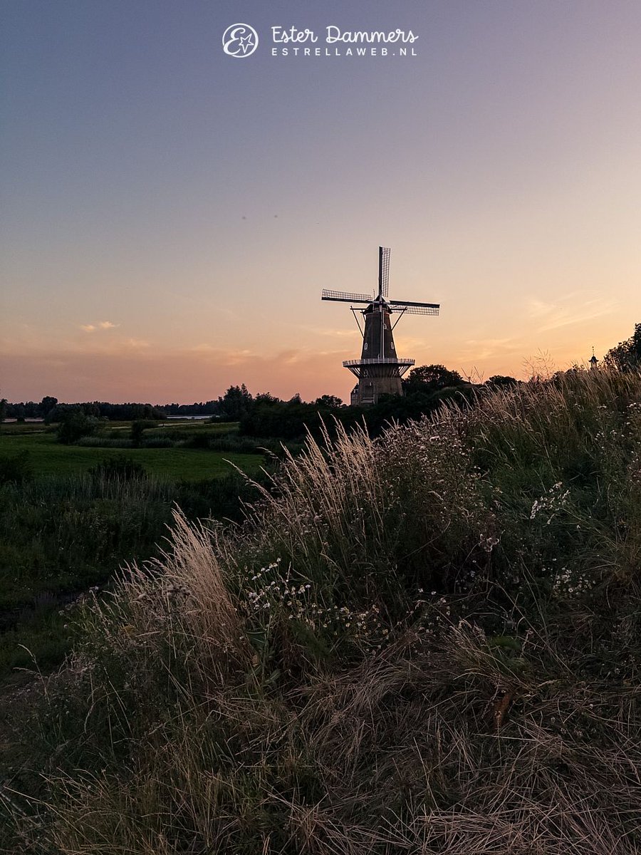 ByEstrella's tweet photo. Ik had al niet zo'n zin om te gaan wandelen vanavond, maar toch gedaan. En dan komt er zo'n jandoedel even lullig tegen me doen. Gelukkig leverde het wel een paar leuke foto's op van #molen De Hoop in #Gorinchem. https://t.co/vWAQHFr5Hh