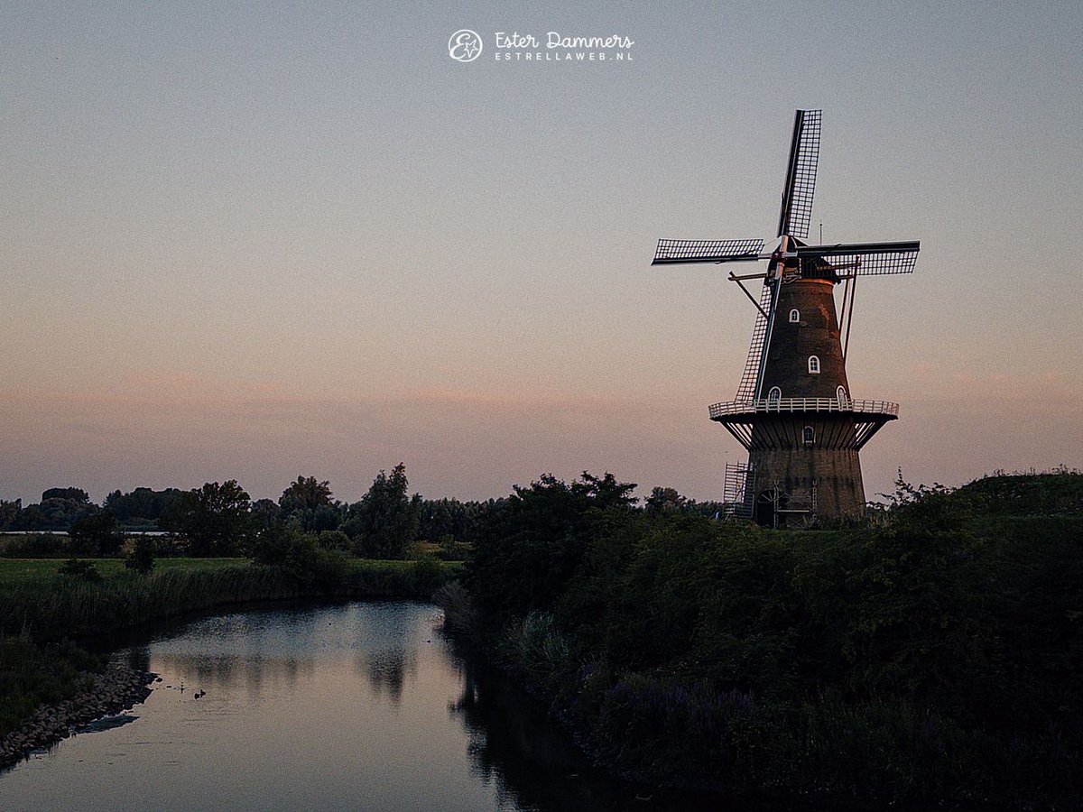 ByEstrella's tweet photo. Ik had al niet zo'n zin om te gaan wandelen vanavond, maar toch gedaan. En dan komt er zo'n jandoedel even lullig tegen me doen. Gelukkig leverde het wel een paar leuke foto's op van #molen De Hoop in #Gorinchem. https://t.co/vWAQHFr5Hh