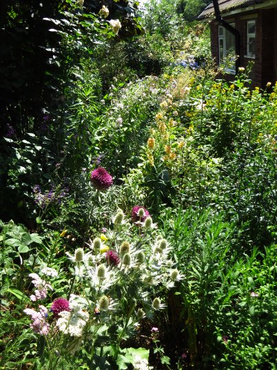 angegarrod's tweet photo. #gardenersworld
A couple of garden views this week.
#flowers #springwatch https://t.co/5iOut8dkSs