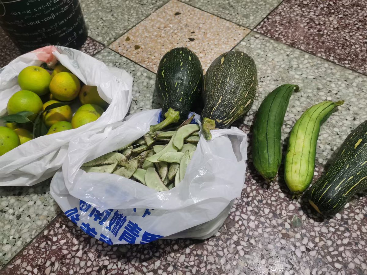 garrabaz's tweet photo. A stranger stopped to help me carry my heavy groceries up the hill when my arms were full. Kindness is everywhere.， https://t.co/A4lb9eBkwA