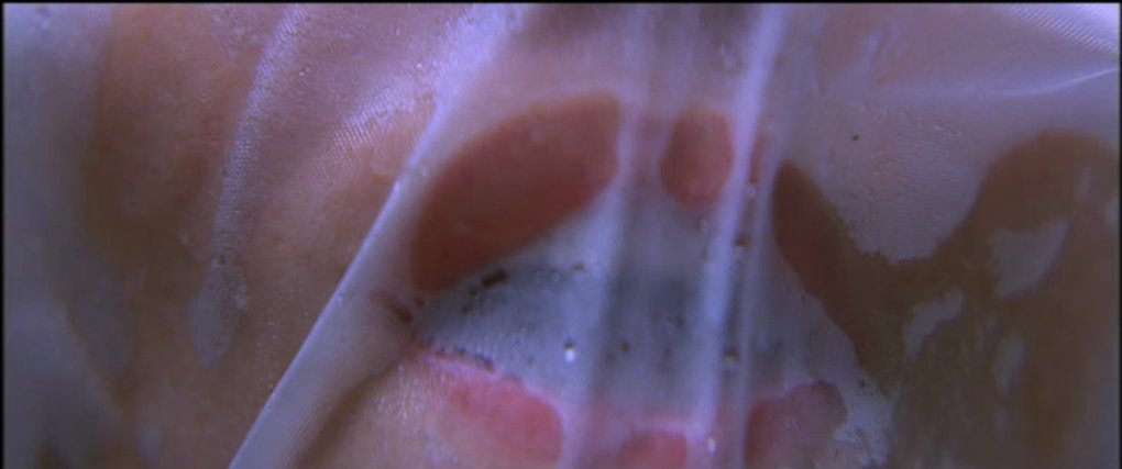 DiscussingFilm's tweet photo. Christopher Nolan’s ‘MEMENTO’ is now streaming on Netflix. 

See which other movies just got added to Netflix: https://t.co/N0YVBVxfYK https://t.co/Kqw73NARTj