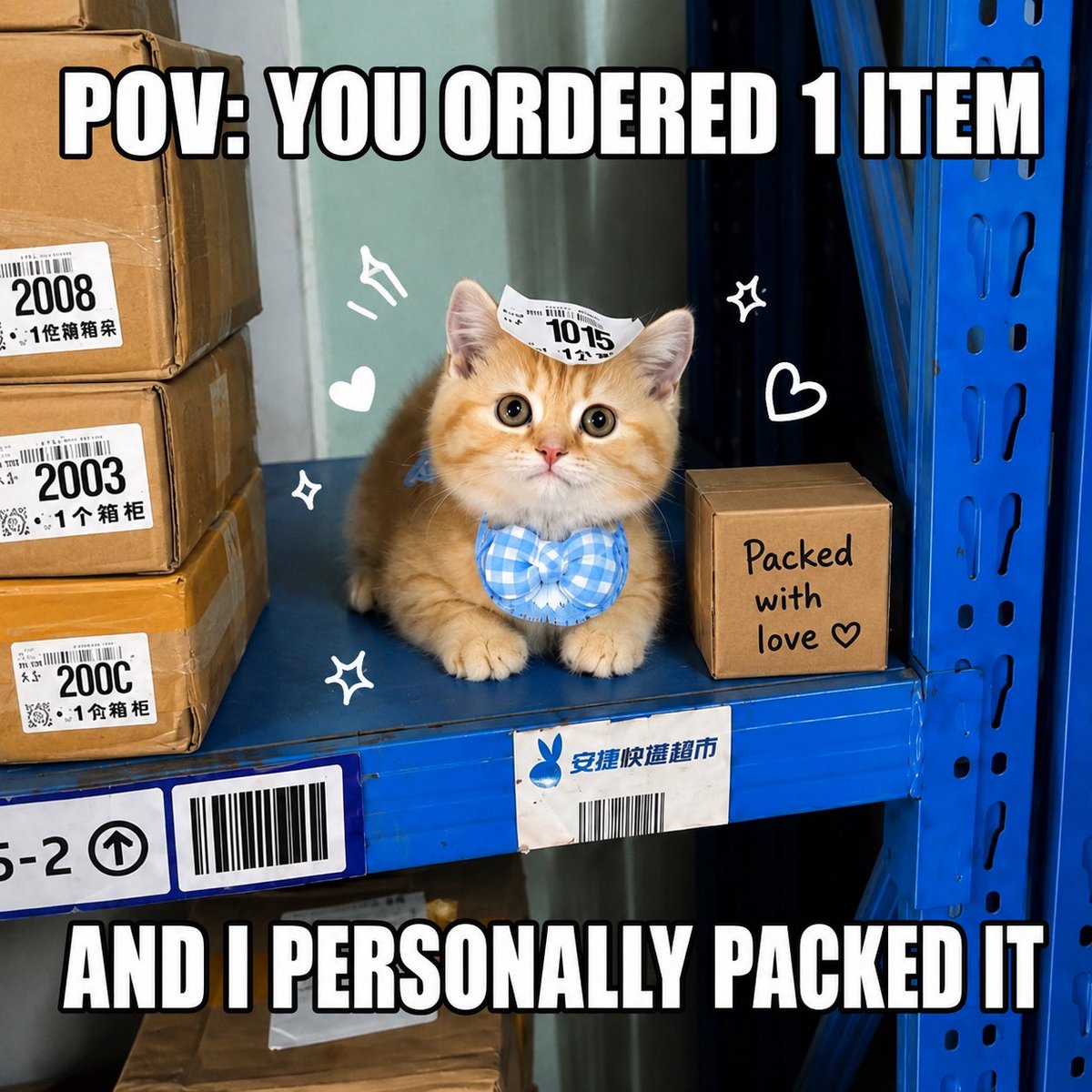 CatInStock's tweet photo. https://t.co/yZPs3h8MNp