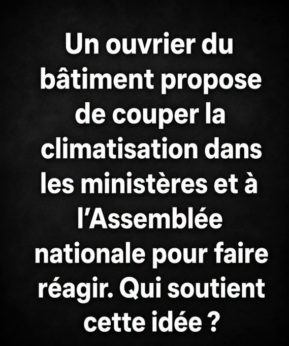 Fleur Morel tweet media