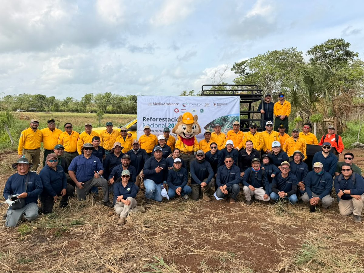 CONAFOR's tweet photo. El estado de Quintana Roo 🏝️ también participó en el Evento de Reforestación Nacional 2026. 

En esta jornada de restauración forestal, 👩‍👩‍👦‍👦232 personas reforestaron cinco hectáreas con 2,500 árboles de especies nativas dentro de la comunidad de Pucté, municipio de Othón P. Blanco. https://t.co/s8E4oEsMro
