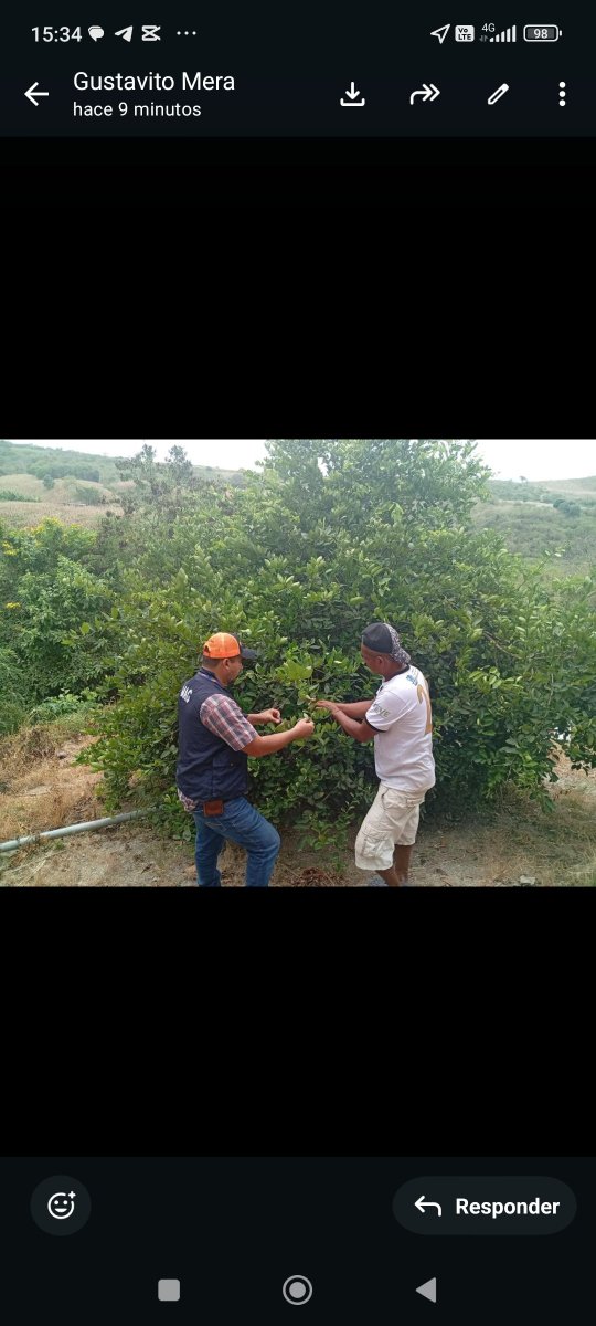 Agricultura_CZ4's tweet photo. #Manabi📍Brindamos asistencia técnica en agricultura sostenible, en implementación de prácticas que protegen los suelos, aseguramos la vitalidad de la tierra para las próximas generaciones. Con innovación y apoyo en cada territorio, juntos estamos sembrando un Ecuador próspero. https://t.co/zCtR7cdsDE
