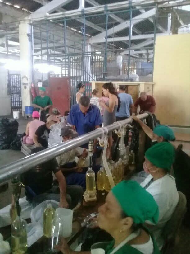 Gleybys1's tweet photo. Cambio de labor en la oficina central de Ember Las Tunas apoyando la producción de vinagre.
#EmberLasTunas
#AlimentariaXCuba https://t.co/ych5VepDg8