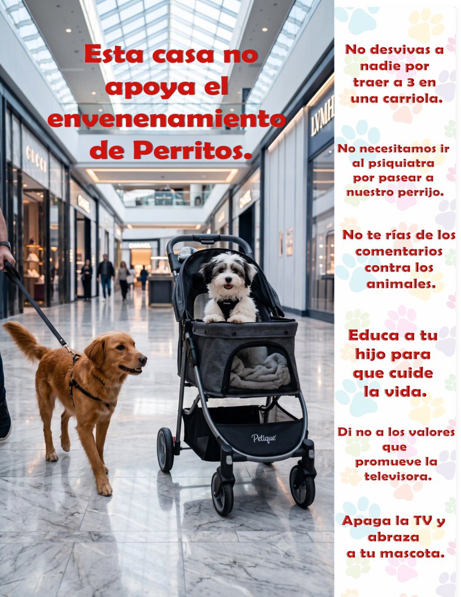 Malikestudio's tweet photo. @saleelsoltv Imprime esta foto y compartela si tienes un perrijo o gatijo https://t.co/afzgheQjR9