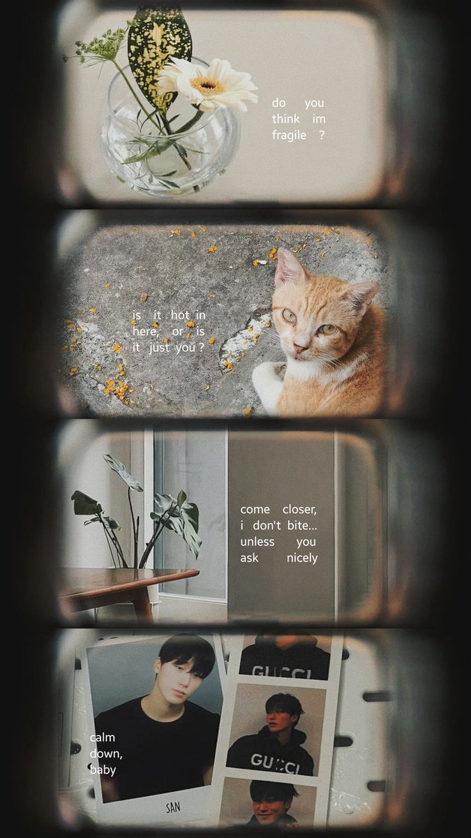 MemoryPaperWeb's tweet photo. A photo is not just a file.

It’s a birthday, a trip, a person, a feeling, a moment you never want to lose.

Turn it into something beautiful with Memory Paper.

https://t.co/nau2hS8vZE

#MemoryPaper #PhotoMemories #PhotoDesign #KeepsakeDesign #PersonalizedDesign #CreativeWebApp https://t.co/aFgRAbqUnQ