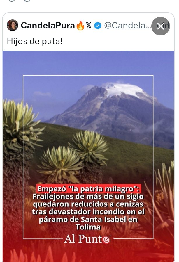 AbgLoreLazaro_'s tweet photo. ¿Así que ahora los incendios forestales también los provoca Abelardo de la Espriella?

Extraordinario. El petrismo acaba de realizar uno de los mayores avances científicos de la historia política colombiana: descubrir la responsabilidad presidencial retroactiva anticipada. Según esta nueva teoría revolucionaria, el Presidente Electo no solo responde por lo que haga cuando gobierne, sino también por todo lo que ocurra antes de sentarse en el escritorio.

Si mañana se va la luz en Soacha, será culpa de Abelardo. Si el dólar sube, Abelardo. Si llueve demasiado, Abelardo. Si no llueve, también Abelardo. Y si un gato se queda atrapado en un árbol, seguramente aparecerá algún influencer oficialista explicando el papel del "neoliberalismo felino".

Mientras tanto, la incómoda realidad sigue ahí, arruinando narrativas: el Gobierno sigue siendo el Gobierno actual. Los presupuestos, los protocolos, las competencias y las entidades encargadas de atender emergencias no se transfieren por ósmosis electoral ni mediante cadenas de X.

Lo verdaderamente fascinante es la velocidad del relato. Durante años, todos los males del país eran culpa del gobierno anterior. Ahora inauguran una modalidad inédita: culpar al gobierno siguiente incluso antes de que empiece. Pasaron del retrovisor al calendario y del calendario al horóscopo.

Lo ocurrido en Santa Isabel merece respuestas, coordinación y gestión pública seria. Convertir una tragedia ambiental en una pieza de propaganda partidista no protege un solo frailejón ni apaga un solo incendio, pero sí revela una curiosa prioridad política: algunos parecen más interesados en administrar culpables que en administrar emergencias.

Y quizá ahí esté el verdadero problema. Porque extinguir un incendio requiere agua, logística y coordinación institucional. Extinguir la costumbre de culpar a otros por absolutamente todo parece requerir tecnología que todavía no existe.