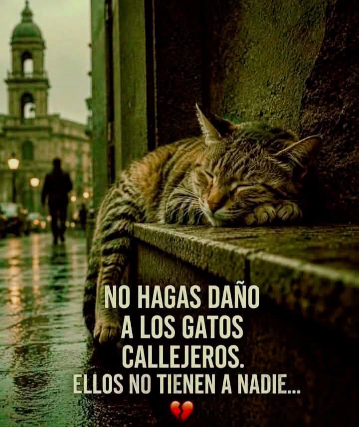 Sabueson's tweet photo. https://t.co/hUZgy64f1d